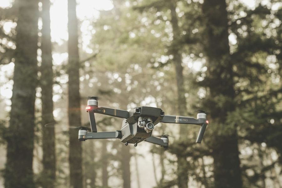 Drohne zwischen hohen Bäumen im Wald